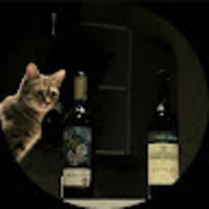 Meet your Posher, Max